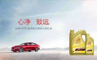 美国德尔润滑油 保障仪器仪表高效运转的润滑专家